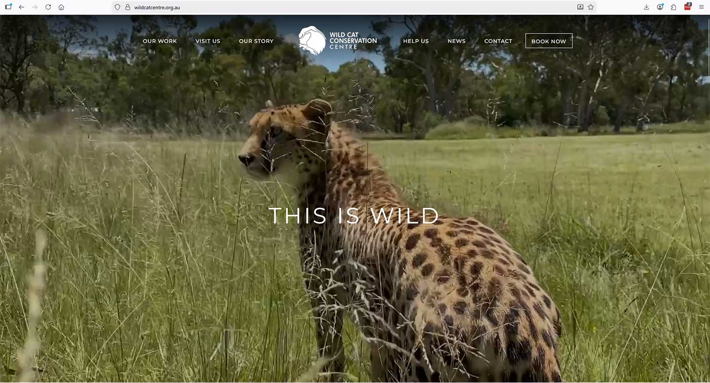 Example website build by Edda Design